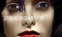 滬指收漲0.48% 房地產(chǎn)板塊漲幅居前