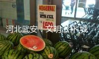 河北武安：文明滋補(bǔ) 城市不斷成長
