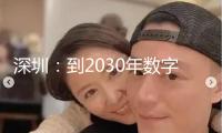 深圳：到2030年數(shù)字交易比重進步至50%以上