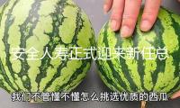 安全人壽正式迎來新任總經(jīng)理，史偉玉任職資歷獲批