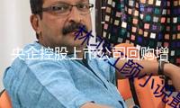 央企控股上市公司回購增持進度條繼續(xù)改寫