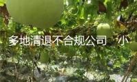 多地清退不合規(guī)公司　小貸職業(yè)繼續(xù)“洗牌”