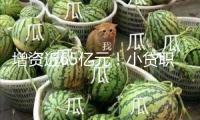 增資近65億元！小貸職業(yè)正演出“增資”+“清退”