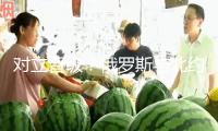 對(duì)立晉級(jí)？俄羅斯與北約在波羅的?！霸┘衣氛?專家：并非偶然