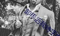 小鵬轎車2025年一季度虧本收窄營收增加