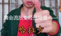 展會(huì)流質(zhì)變經(jīng)貿(mào)增量——第四屆我國—非洲經(jīng)貿(mào)博覽會(huì)協(xié)作效果豐盛