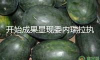 開始成果顯現(xiàn)委內瑞拉執(zhí)政黨在議會選舉中取勝