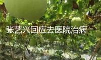 張藝興回應(yīng)去醫(yī)院治?。罕闶强戳讼律眢w一切都挺好
