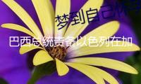 巴西總統(tǒng)責備以色列在加沙進行“有預謀的種族滅絕”
