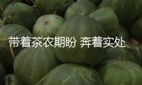 帶著茶農期盼 奔著實處造訪（鍥而不舍執(zhí)行中心八項規(guī)則精力·一線見識）