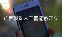 廣西發(fā)動人工智能敞開立異渠道建造