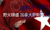 野火肆虐 加拿大薩斯喀徹溫省進入緊急狀態(tài)