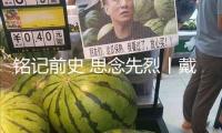 銘記前史 思念先烈丨戴安瀾：永久振翅的“海鷗”