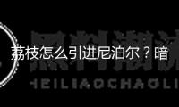 荔枝怎么引進(jìn)尼泊爾？暗碼藏在一杯酸奶里