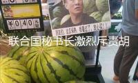 聯(lián)合國(guó)秘書(shū)長(zhǎng)激烈斥責(zé)胡塞裝備康復(fù)突擊紅海民用船舶