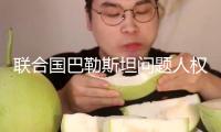 聯(lián)合國巴勒斯坦問題人權(quán)專家遭美國制裁