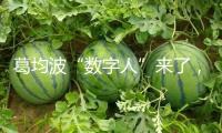 葛均波“數(shù)字人”來了，還帶山東口音！AI醫(yī)生離治病還遠嗎？