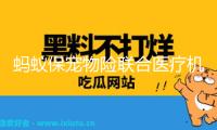 螞蟻保寵物險(xiǎn)聯(lián)合醫(yī)療機(jī)構(gòu)發(fā)布治療標(biāo)準(zhǔn)：讓寵物治病少花冤枉錢