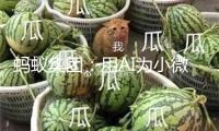 螞蟻集團：用AI為小微集體做更多、做更好