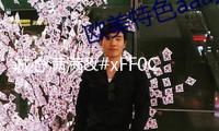 誠心滿滿，沃爾沃全新S90與寶馬5系，您更鐘情哪一款？