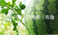 角色升級玩法煥新！布魯可漫威新品重塑積木收藏體驗