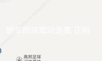 轎車板塊震動走高 正裕工業(yè)、躍嶺股份等漲停