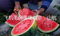 飛機(jī)毛病備降南京，山航致歉