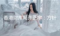 香港財(cái)庫局許正宇：方針年內(nèi)發(fā)車牌！安穩(wěn)幣概念“聞風(fēng)”再動(dòng)