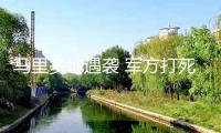 馬里多地遇襲 軍方打死80多名恐怖分子
