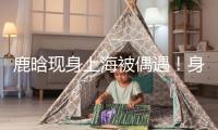 鹿晗現(xiàn)身上海被偶遇！身段消瘦容貌大變成了“紙片人”