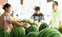 88歲香港導(dǎo)演唐佳墜樓身亡！現(xiàn)場(chǎng)慘烈身首異處，初判因妻病重自殺
