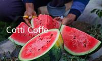 Cotti Coffee establishes strategic partnership with Rwanda to build China