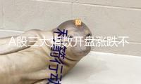 A股三大指數(shù)開(kāi)盤漲跌不一