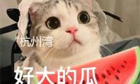 “杭州灣庫里南”極氪9X內(nèi)飾露臉 8月底成都車展敞開預(yù)售