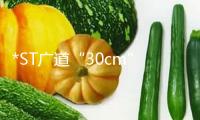 *ST廣道“30cm”一字跌停！火電慢牛趨勢凸顯 月線已五連陽