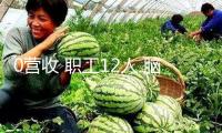0營(yíng)收 職工12人 腦再生科技股價(jià)半年漲超460倍！創(chuàng)始人投行身世 自曝曾承受中醫(yī)醫(yī)治超越30年