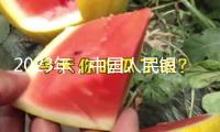 2023年，中國(guó)人民銀行為全球黃金最大買(mǎi)家